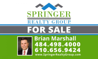 SPRINGER REALTY GROUP&nbsp;Limerick